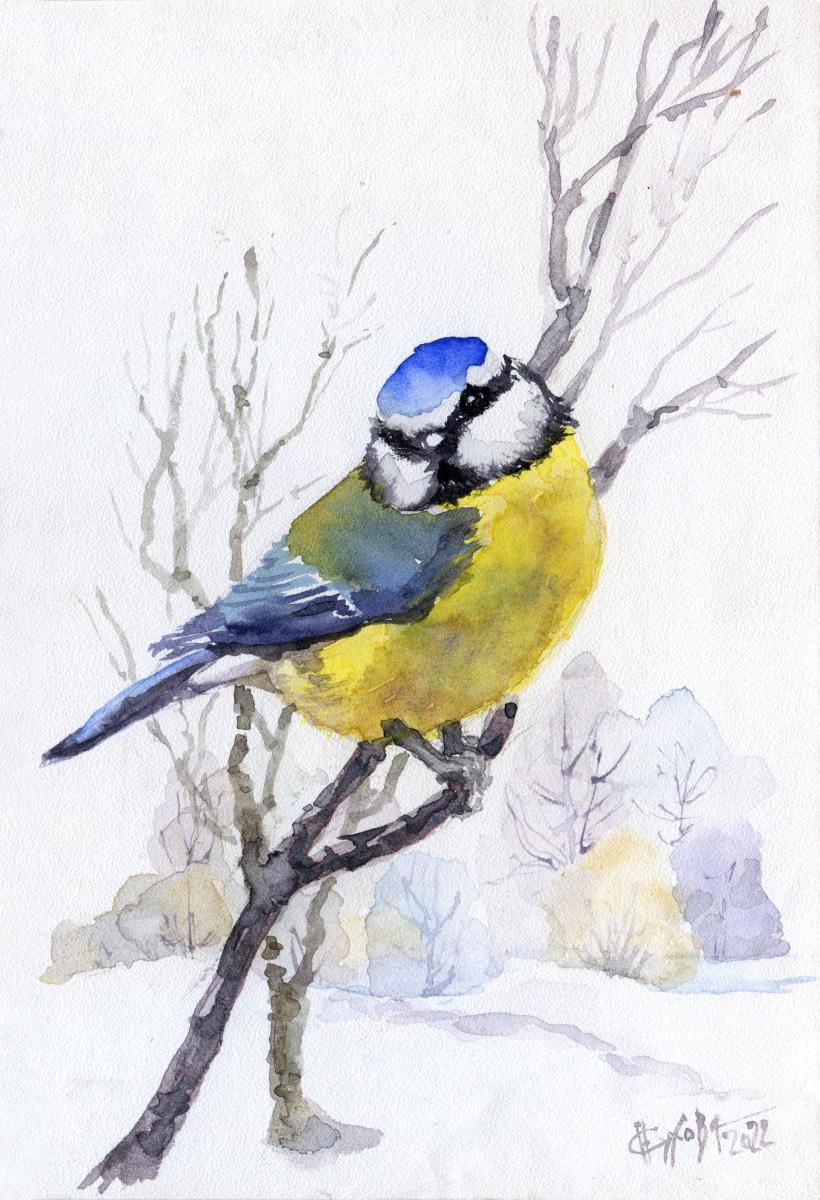 �������. ������ �������. ������