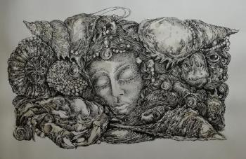 ���� ���� (���� ���). ������ �����