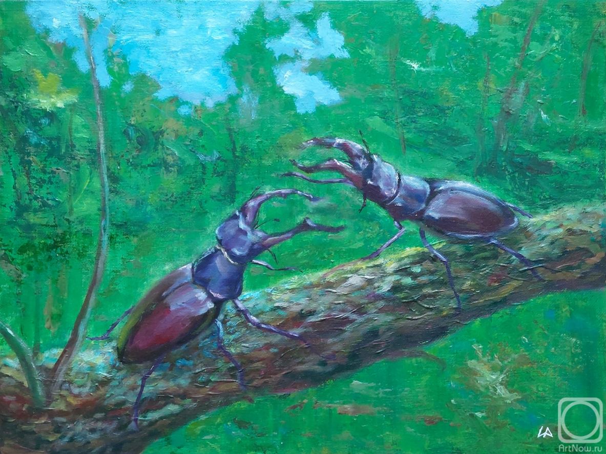 ������� ������ �� ������. ������ �����. ���� - �����