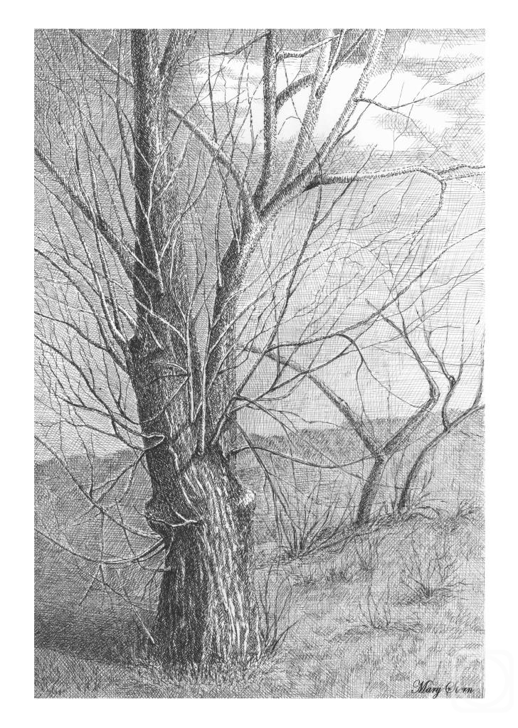 �������. ����������� ������. �����������