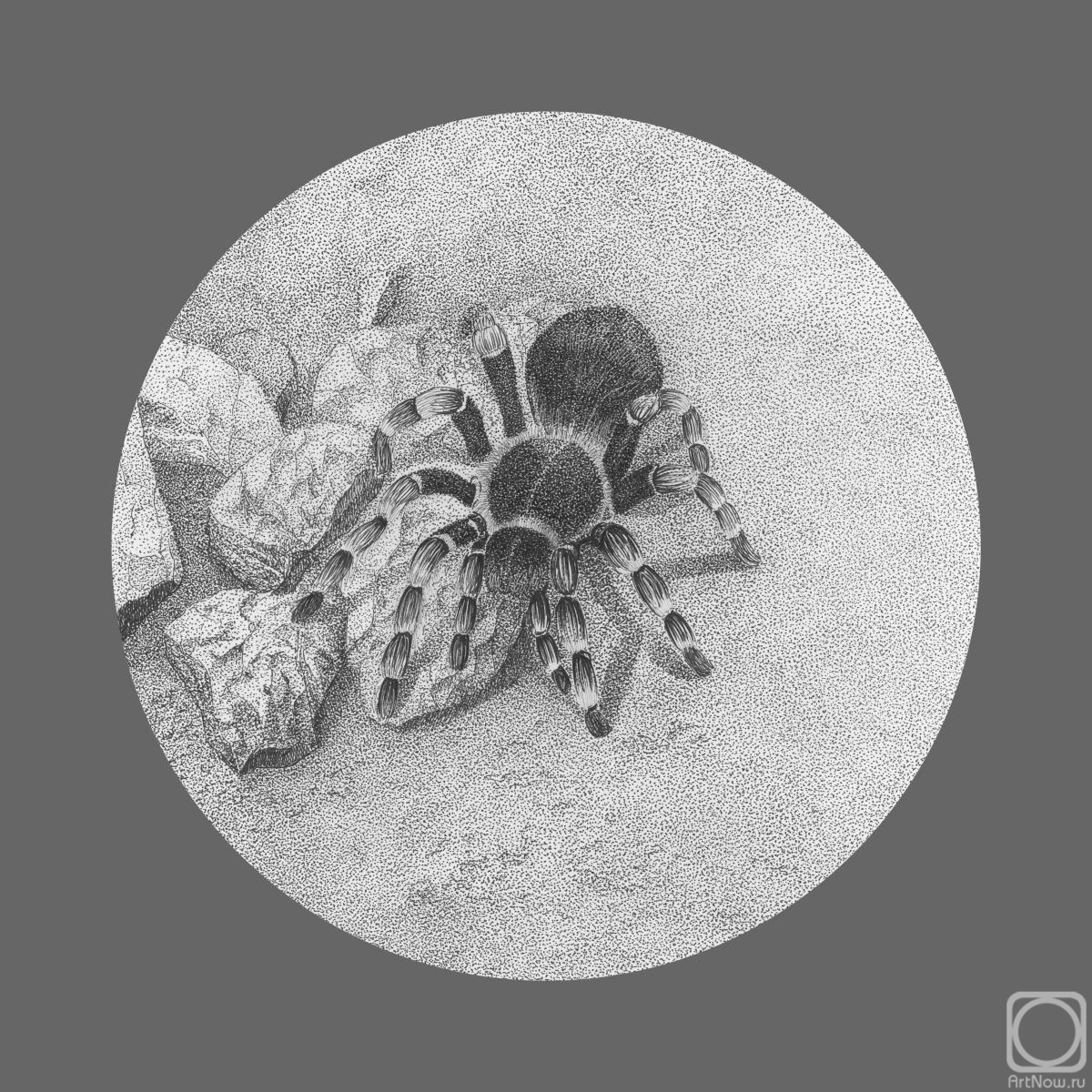 �������. ����������� ������. ��������