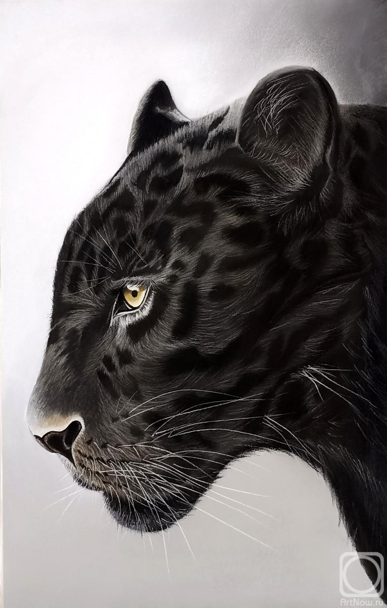 �������. �������� ���������. ������ ����� �����