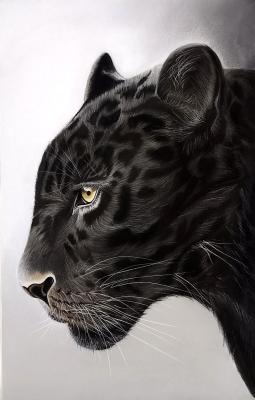 ������ ����� ����� (����� ������ �����). �������� ���������