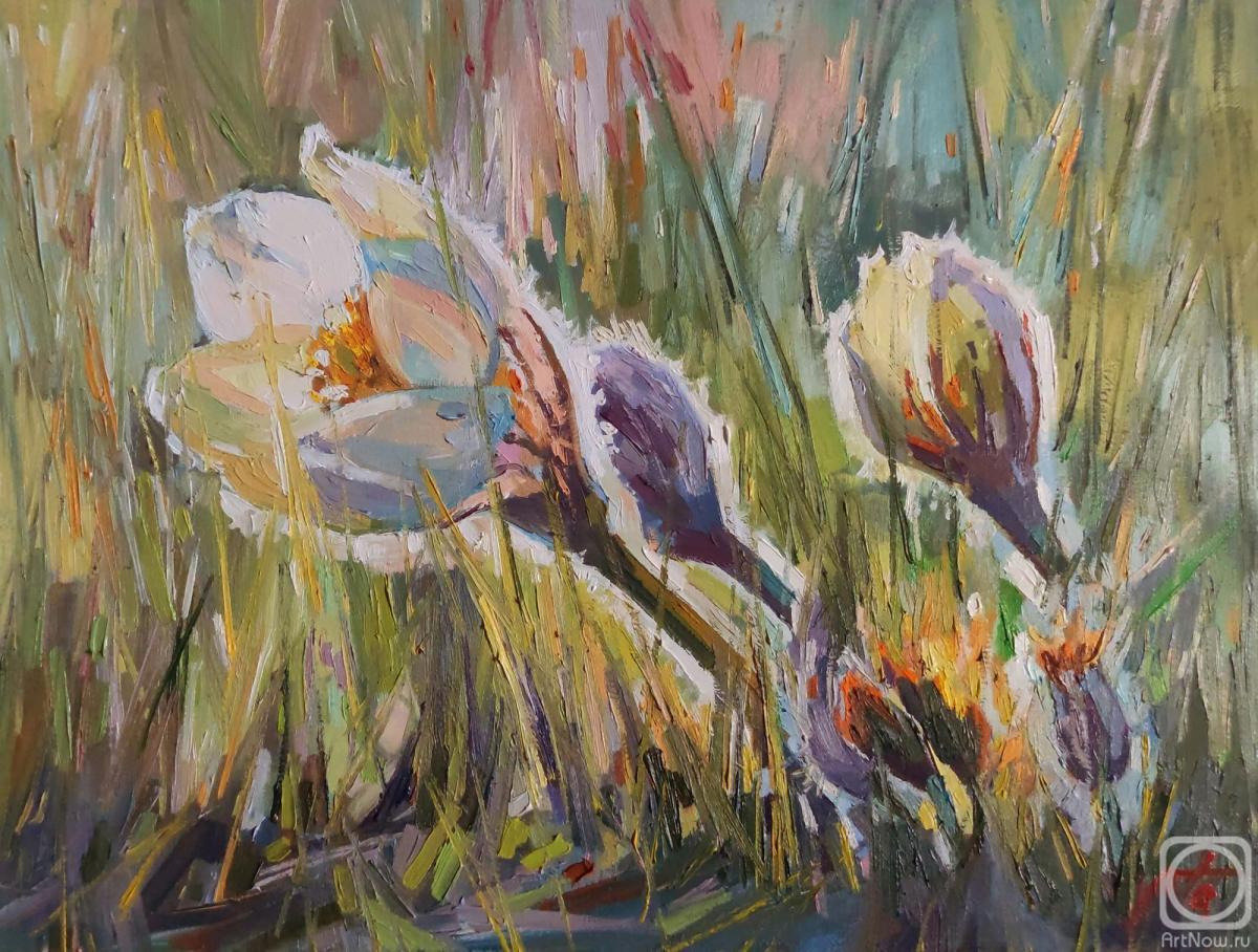 ������� ������ �� ������. ������ ��������. ������