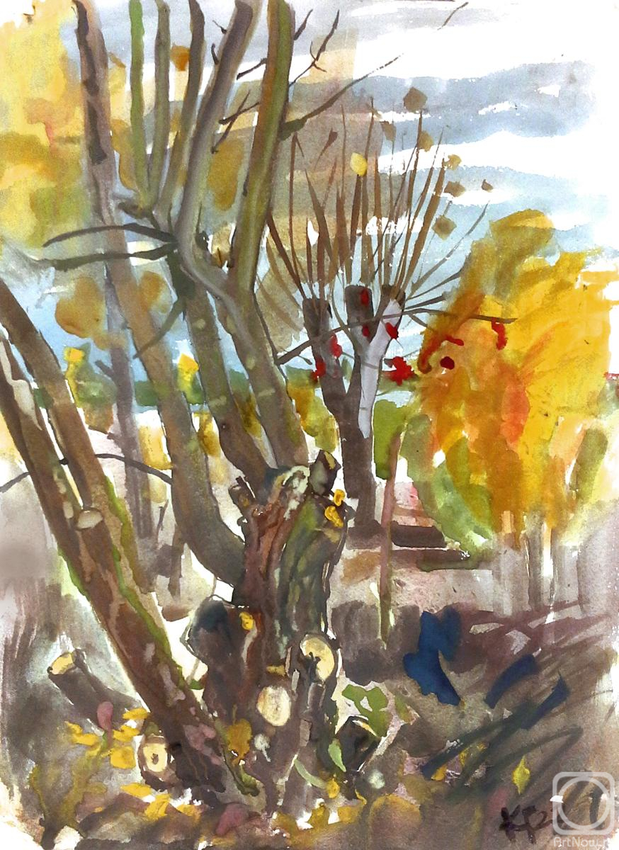 Karaceva Galina. Untitled