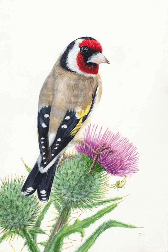 �������. ����������� �������. ����� �� �������� �����������