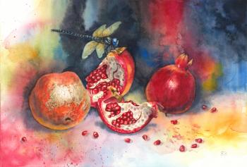 Dragonfly on the pomegranate. Kastalskiy Dmitriy