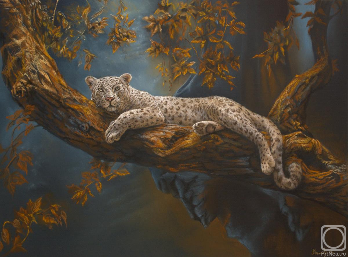 �������. �������� ����. �����