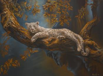 �����. �������� ����