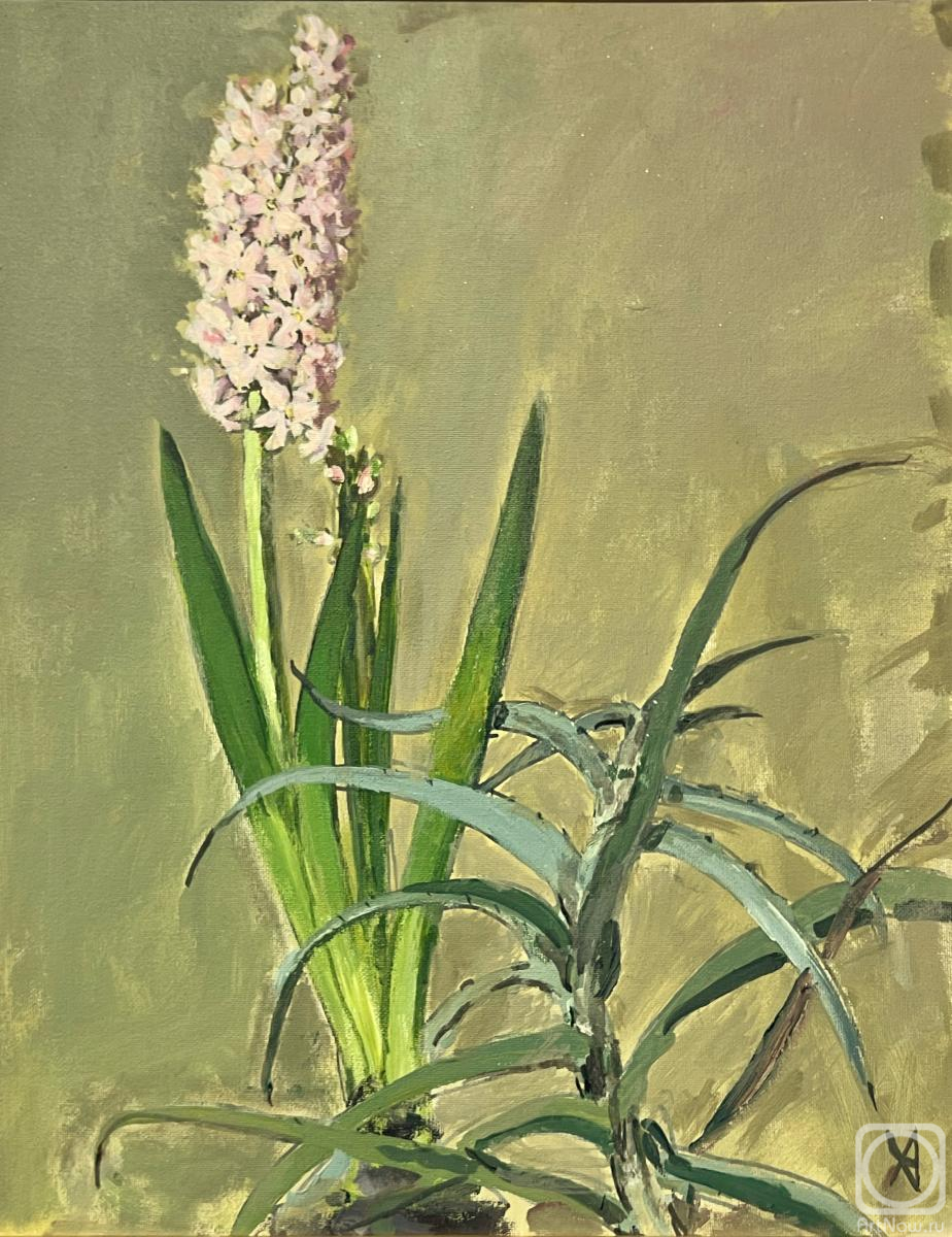 �������. �������� ������. ������� � ����