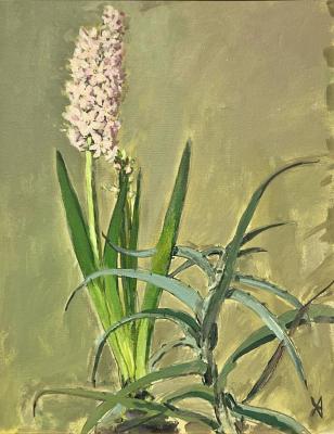 ������� � ���� (���������). �������� ������