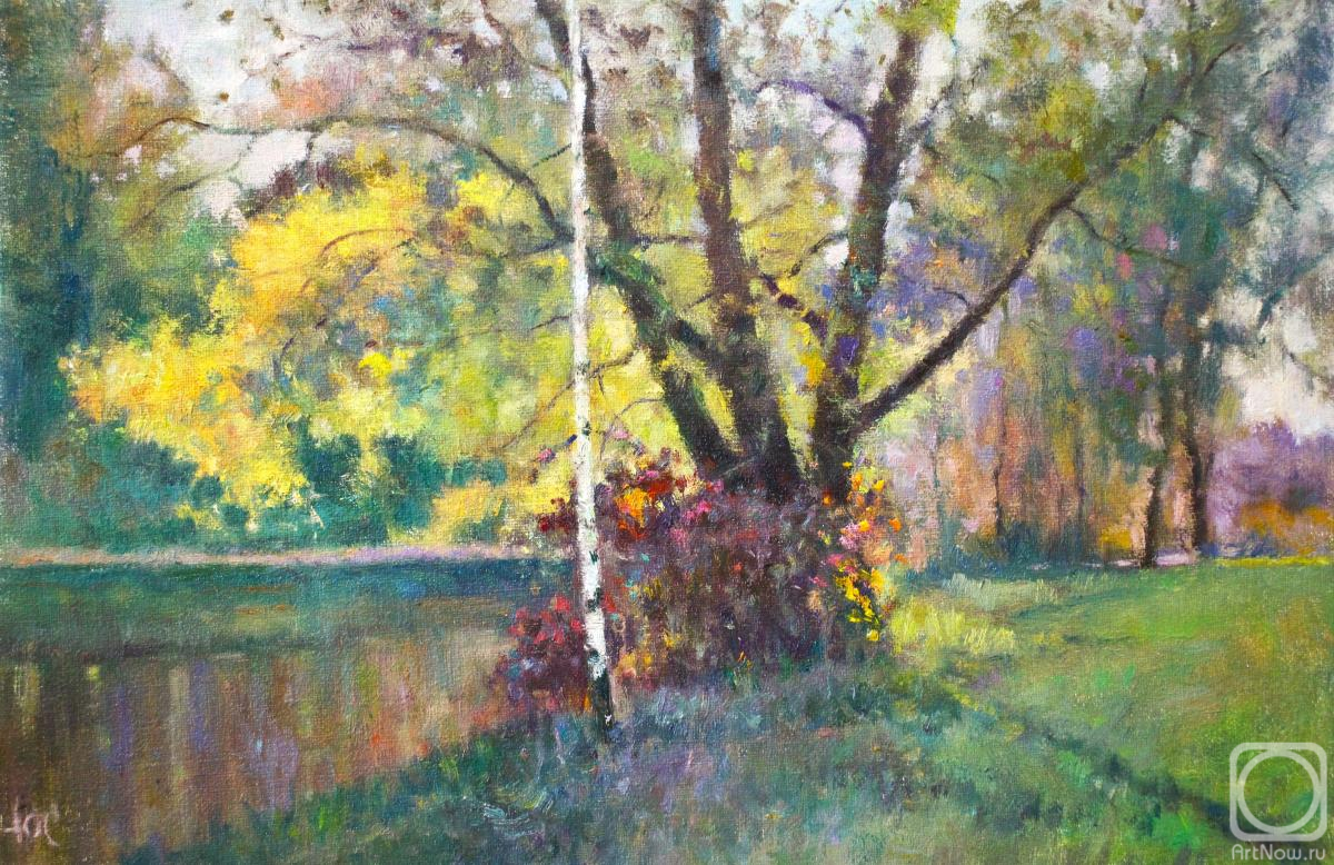 ������� ������ �� ������. ���������� ����. ������ �����