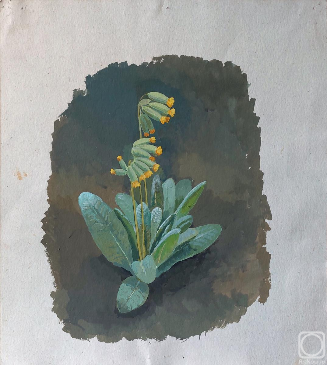 �������. ���������� �����. ��������� (��������� ��������). ����