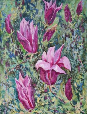 Magnolias. Belyukina Ekaterina