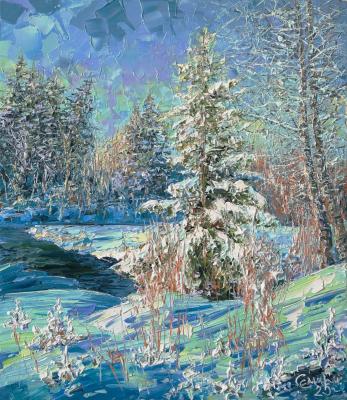 The mood of the winter forest