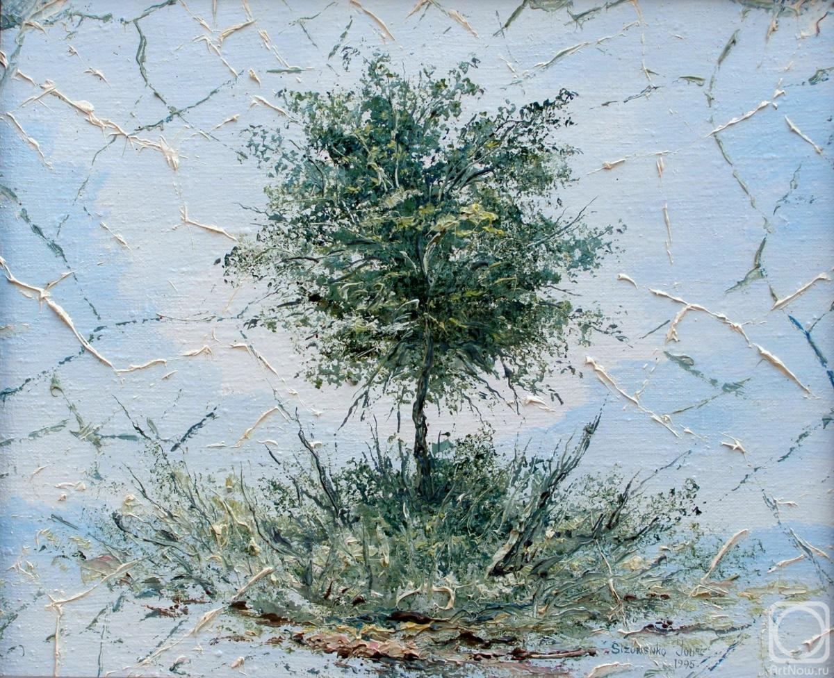 Sizonenko Iouri. Untitled