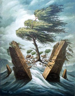 ������� ������ �����