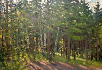 ��� � ���������