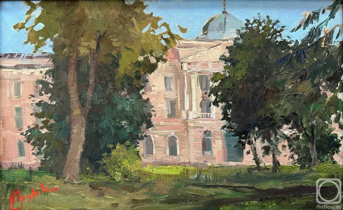 Peshkova Anna. Untitled