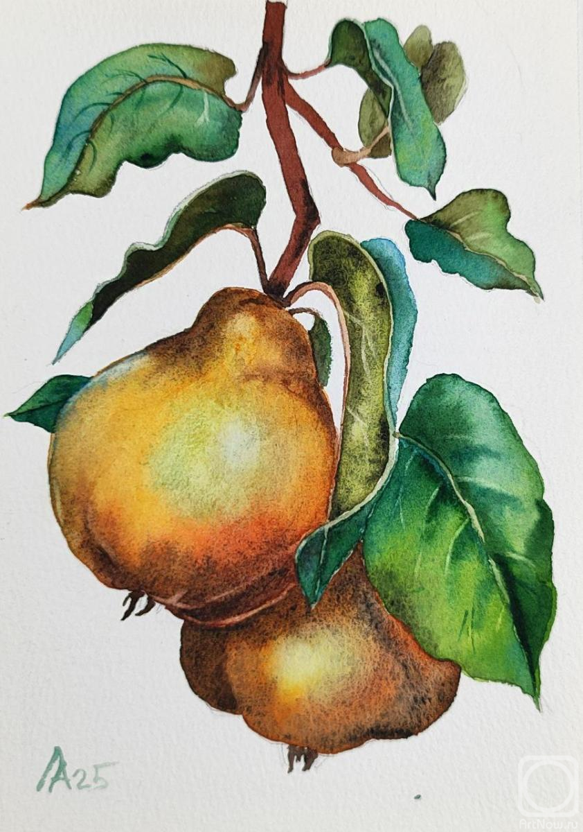 �������. ������ �������. ����