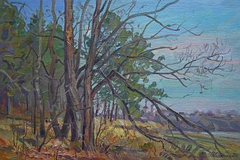 ������ ����. �������� ��������