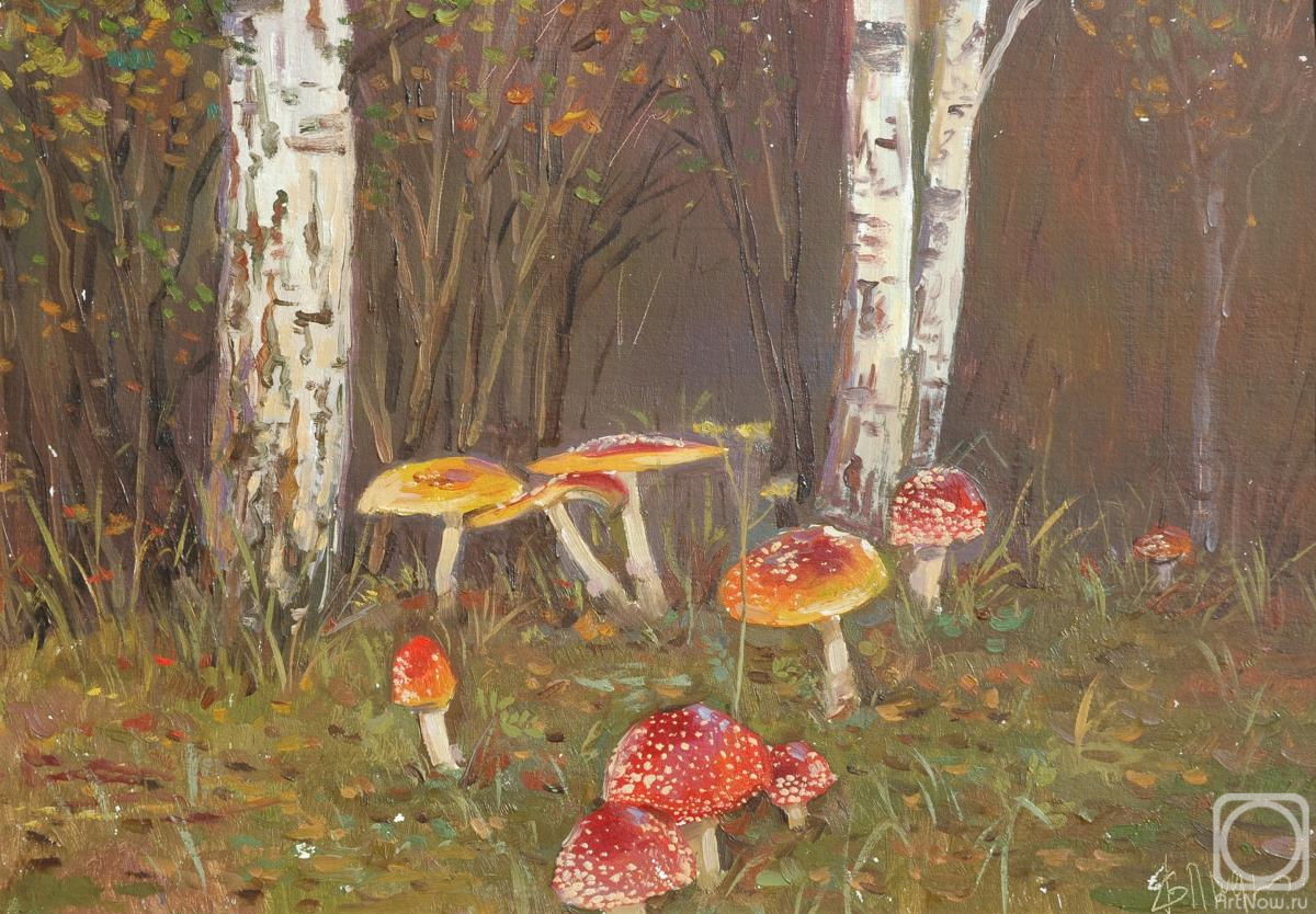 �������. ������� ���������. �����������