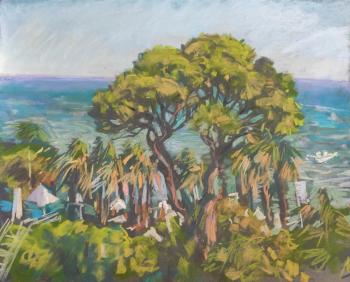 ����� �����. �������� �����