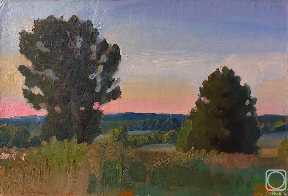 Svyatchenkov Anton. Pink Evening. Etude