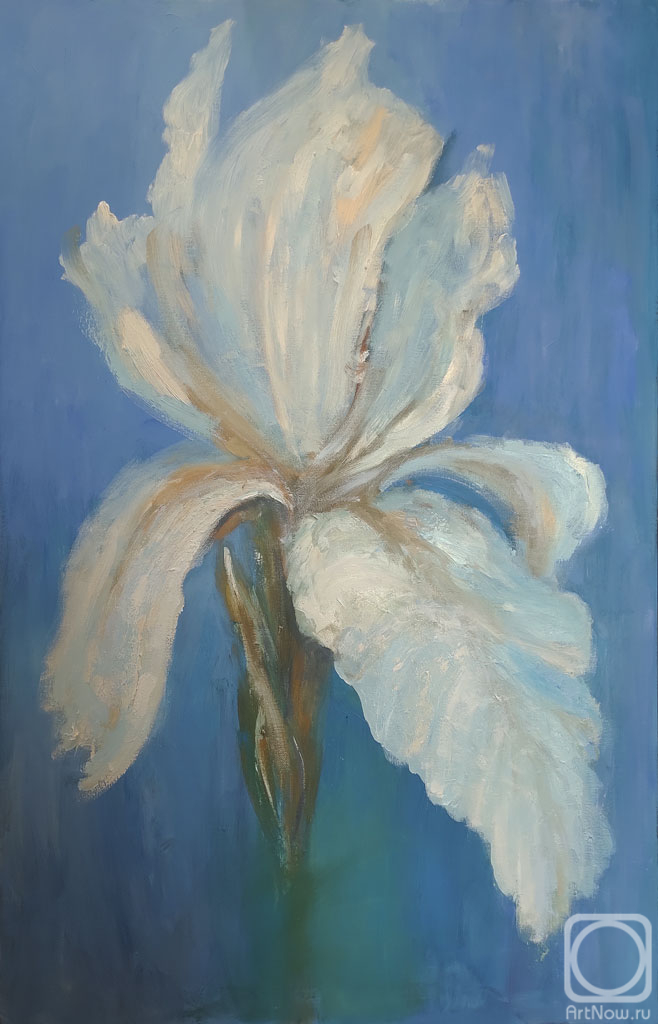 ������� ������ �� ������. �������� ��������. ��������