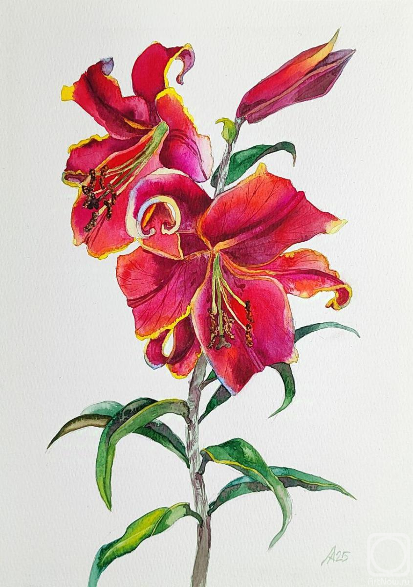 �������. ������ �������. ������� �����