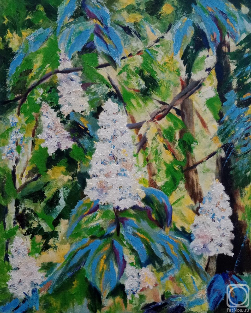 ������� ������ �� ������. ��������� �������. ���, � �����