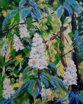 ������� ����, � �����