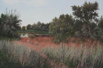 ������� �������� ��� �� ���� �����