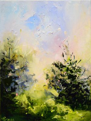 ������� �������� ����