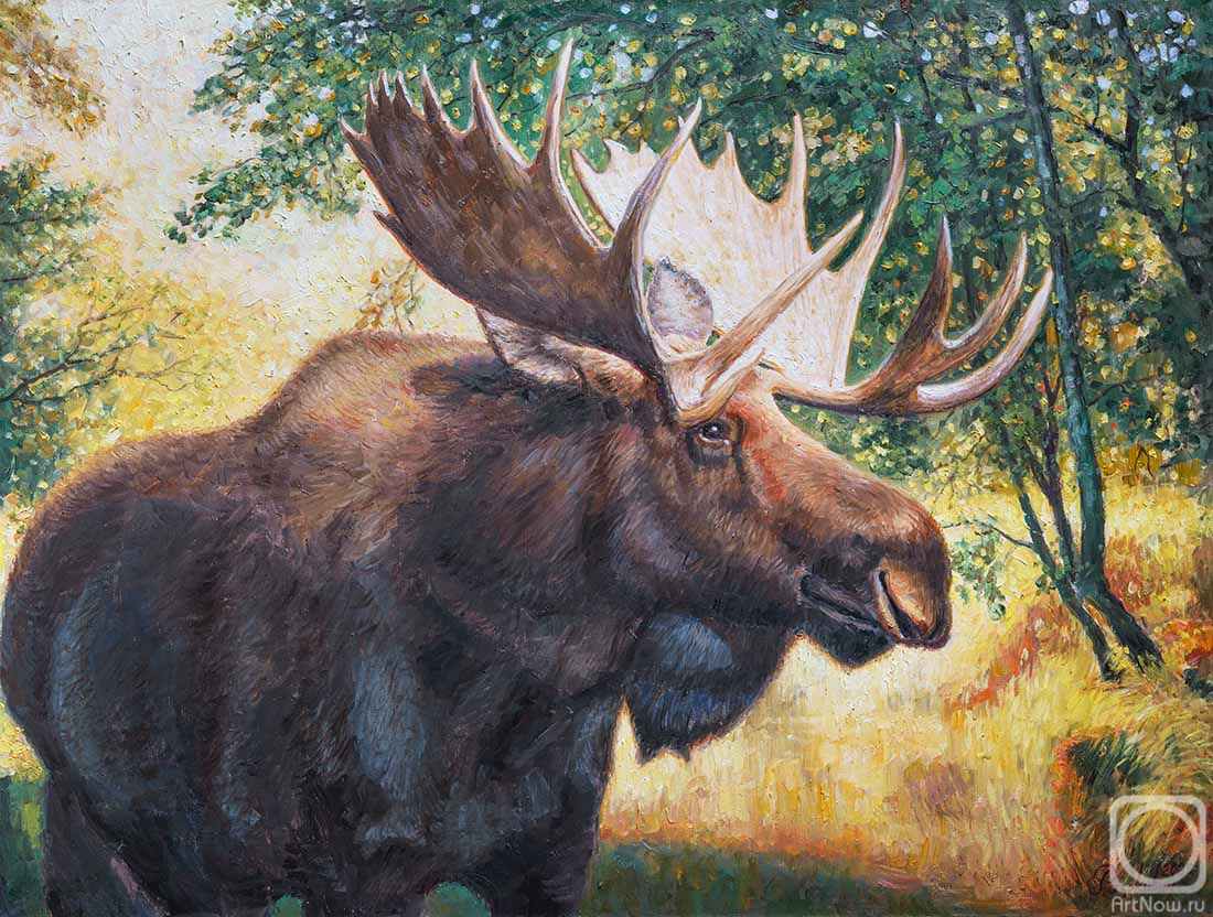 ������� ������ �� ������. �������� �����. ���������