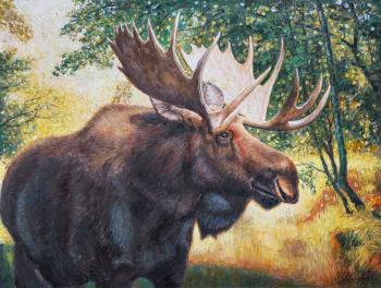 ��������� (���� � ����). �������� �����