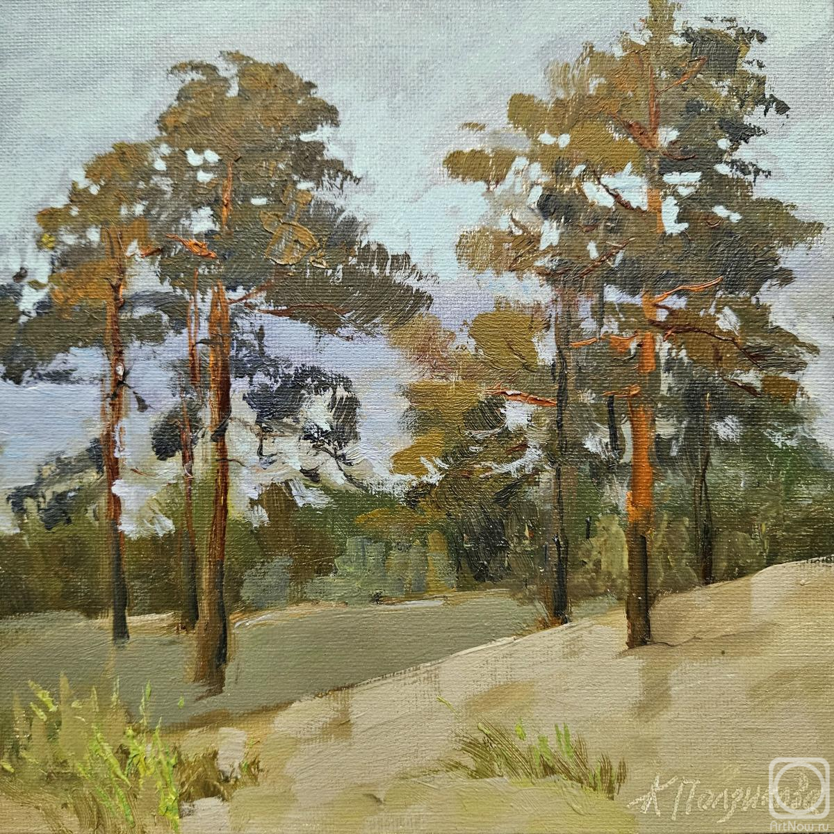 ������� ������ �� ������. ��������� ������. ����� �� ������ ������ ����