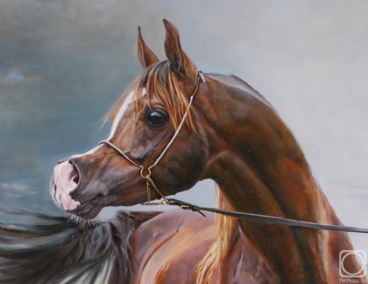 ������� ������ �� ������. �������� �������. ������