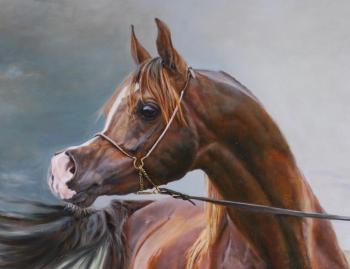 ������. �������� �������