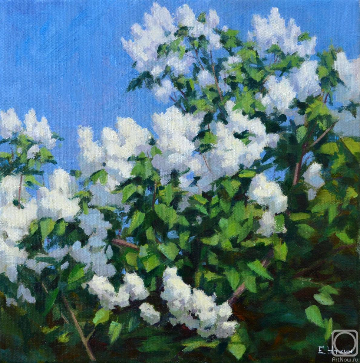 �������. ����� �������. ����� ������