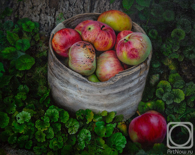 ������� ������ �� ������. ������ ϸ��. ����� �� �������