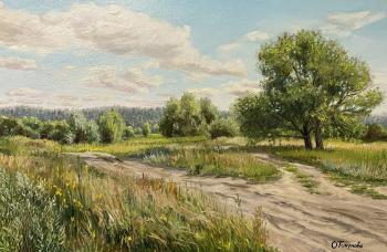 The road to the Sandy Lake (Sandy Road). Tikunova Olga