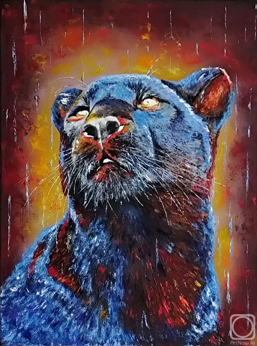 ������� ������ �� ������. �������� ������. ������ �������