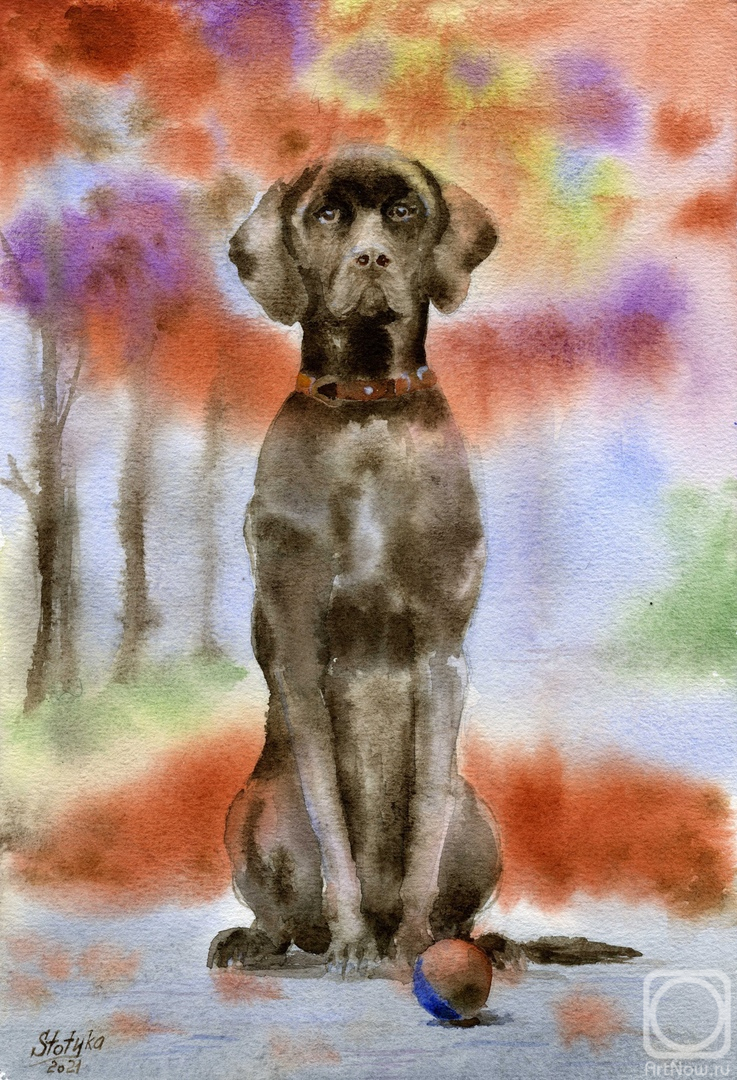 �������. ������� �������. ������� ��������