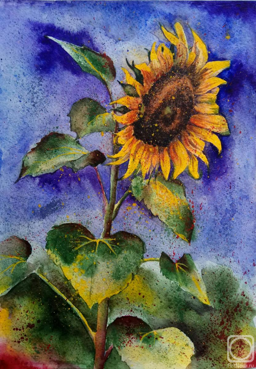 �������. ������� �������. ���������