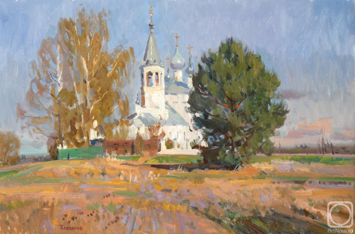 Pleshkov Aleksey. Untitled