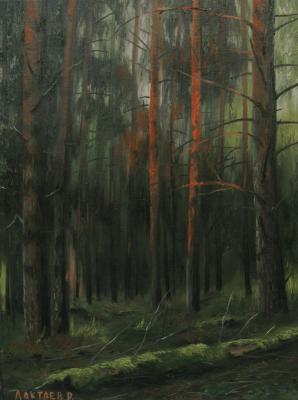 ������� ������ � ����