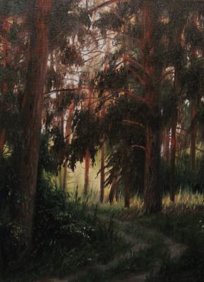 ������� ������ � ����