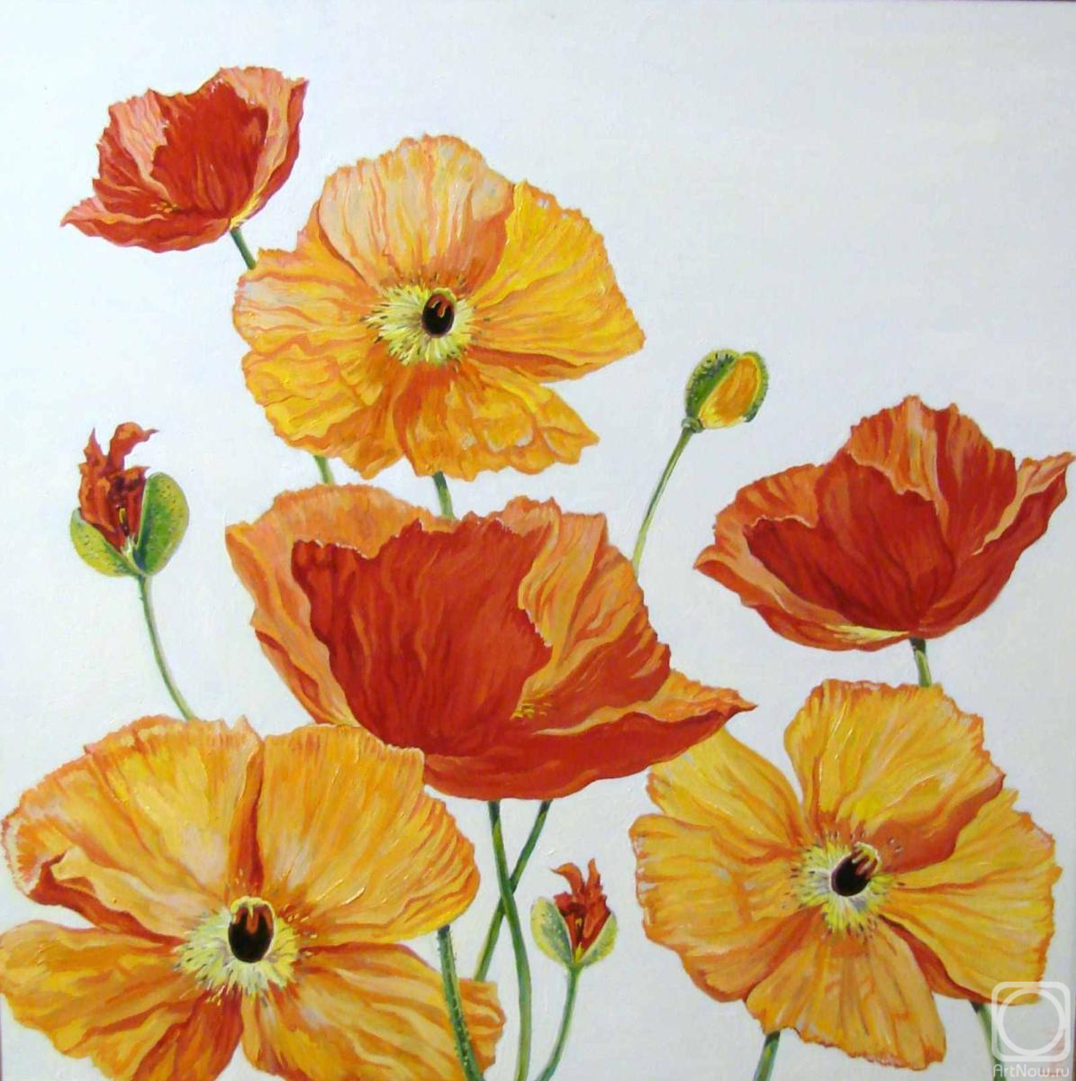 ������� ������ �� ������. ������ ������. ����