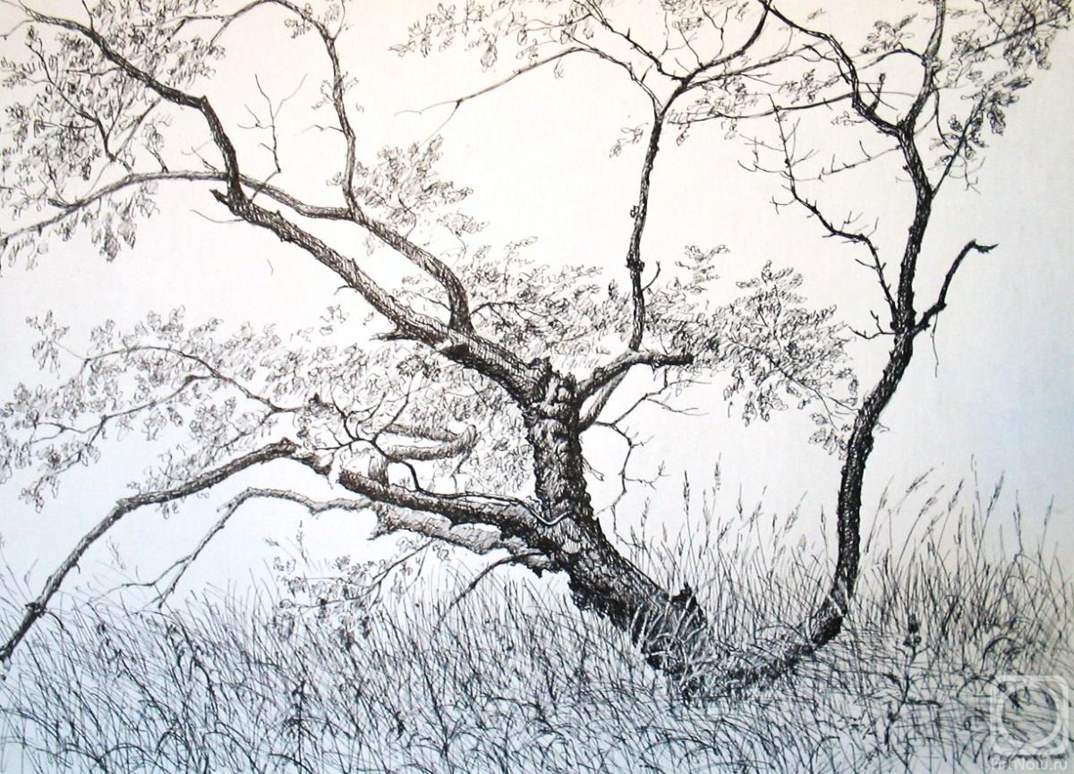 �������. ������ ������. ������ ���